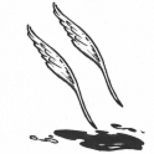 Avatar de L&rsquo;initiation de Claire – Tenter (tome 1) – Valéry K. Baran & Hope Tiefenbrunner