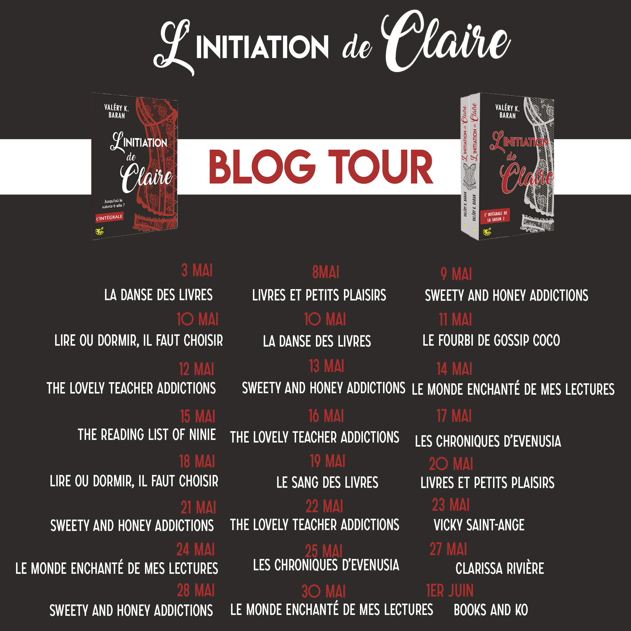 Blog tour affiche Blog tour affiche